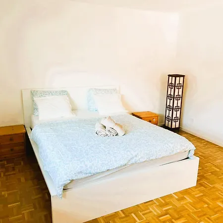 Large Flat With Balcony In Zurich, Kars *