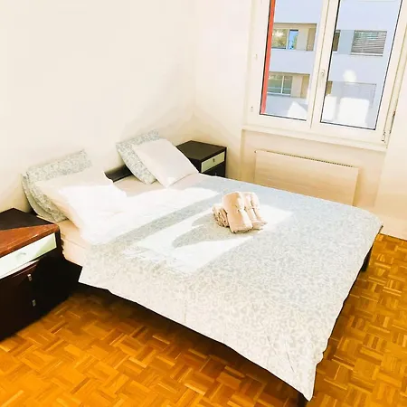 Large Flat With Balcony In Zurich, Kars *